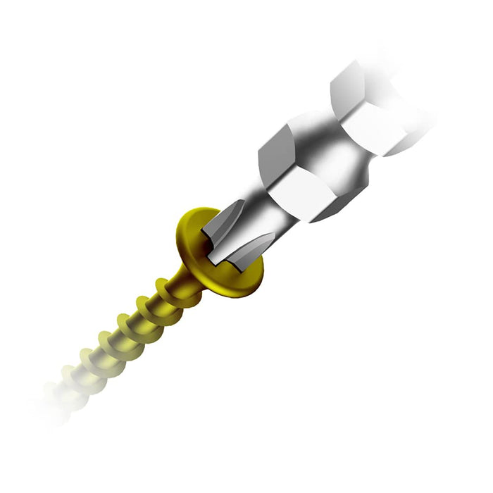 Anex Ryutai Bit Slim Double-Head +2x85 Anex 10-Pack Arts-14M Tool-Kiichin - The #1 Place for Japanese Goods in Your Hand!