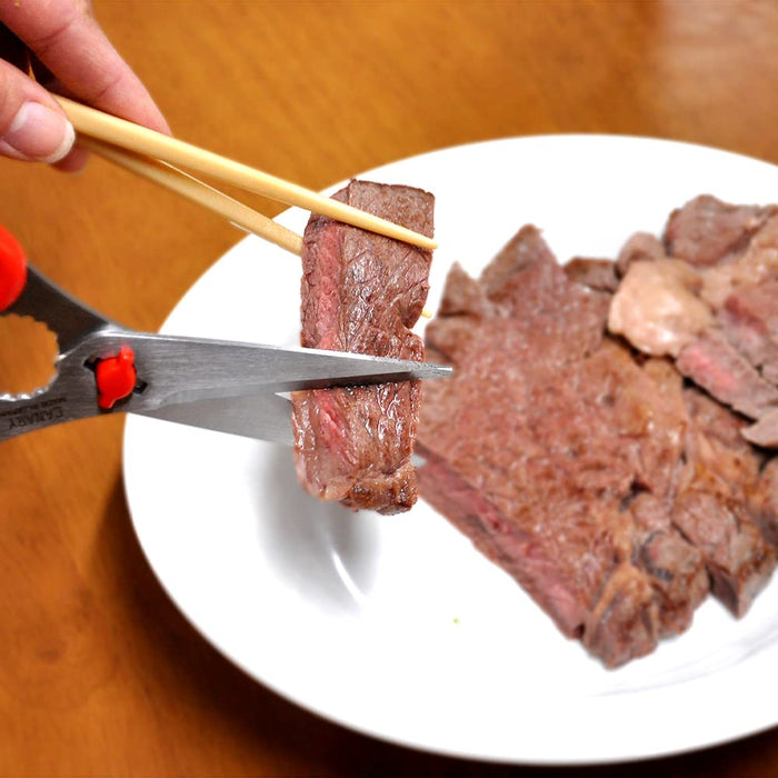 Hasegawa Knives - Red TH-175 Kitchen Table Scissors-Kiichin - The #1 Place for Japanese Goods in Your Hand!