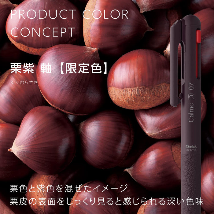 Pentel Calme Calme Limited 3-Color 0.7mm Ballpoint Pen in Chestnut Purple-Kiichin - The #1 Place for Japanese Goods in Your Hand!