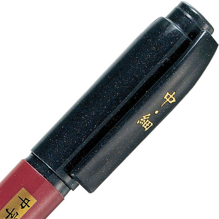 Zebra Brush Pen 10-Piece Set Medium/Fine Brush Signature Writing Tools-Kiichin - The #1 Place for Japanese Goods in Your Hand!