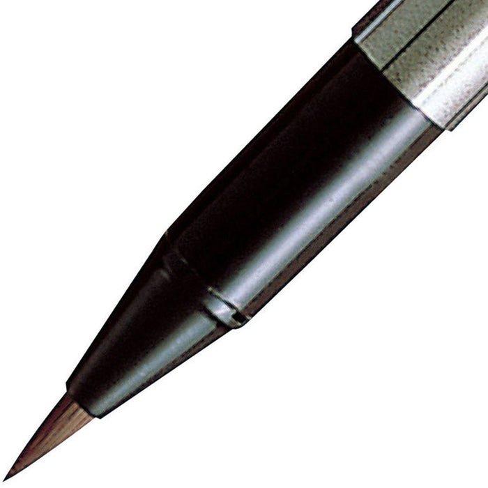 Zebra 10-Piece Brush Pen Set Thick and Thin Tips B-Fd-501-Kiichin - The #1 Place for Japanese Goods in Your Hand!
