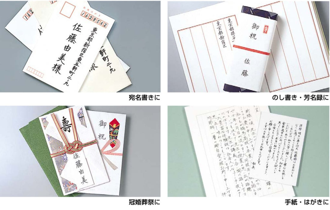 Zebra 10-Piece Brush Pen Set Thick and Thin Tips B-Fd-501-Kiichin - The #1 Place for Japanese Goods in Your Hand!