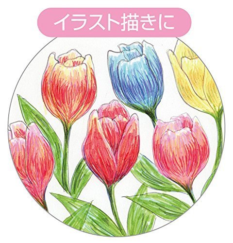 Zebra Brand Mild Liner Highlighter - Versatile High Quality Zebra Product-Kiichin - The #1 Place for Japanese Goods in Your Hand!