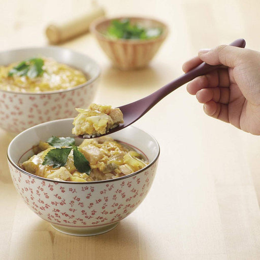 Akebono Gourmet Spoon Scarlet - 18.5cm Premium Culinary Utensil-Kiichin - The #1 Place for Japanese Goods in Your Hand!