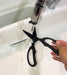 Hasegawa Knives EL-210-BK Canary Kitchen Scissors in Elegant Black-Kiichin - The #1 Place for Japanese Goods in Your Hand!