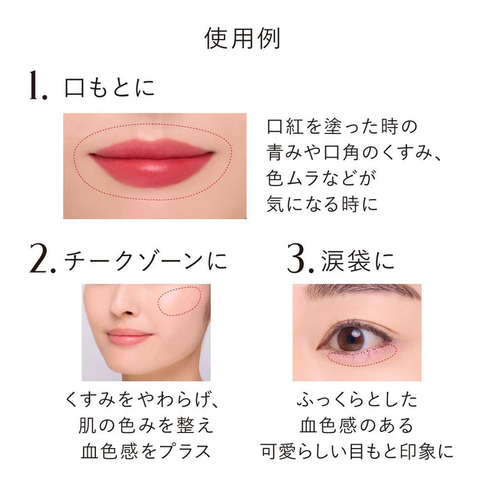 Kanebo Designing Color Liquid Ex1 Concealer for Flawless Coverage-Kiichin - The #1 Place for Japanese Goods in Your Hand!