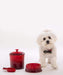 Le Creuset Cherry Red Pet Food Container with Scoop for Dogs and Cats-Kiichin - The #1 Place for Japanese Goods in Your Hand!