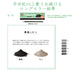 Mitsubishi Pencil 9800 2H Premium Quality Pack of 12-Kiichin - The #1 Place for Japanese Goods in Your Hand!