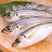 Pearl Metal 105mm Horse Mackerel Cutting Knife Shunro Model F2406-Kiichin - The #1 Place for Japanese Goods in Your Hand!
