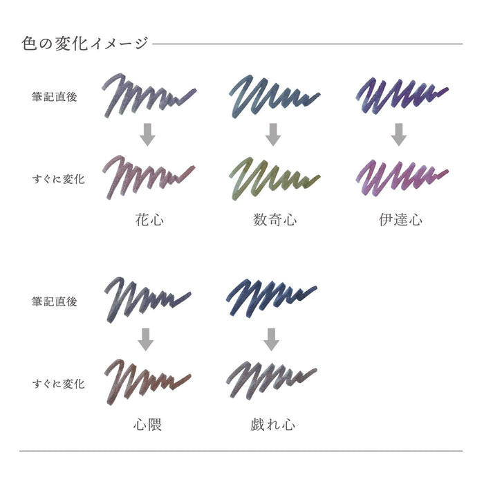 Sailor Fountain Pen Kokoroguma Dye Shimmering Bottle Ink 20ml 13-1530-204-Kiichin - The #1 Place for Japanese Goods in Your Hand!