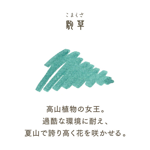 Sailor Fountain Pen Shikiori Sansui Komagusa 20ml Bottle Ink Dye 13-1008-230-Kiichin - The #1 Place for Japanese Goods in Your Hand!