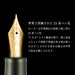 Sailor Bold Ebonite Engraved Night Wind Fountain Pen 10-8085-620-Kiichin - The #1 Place for Japanese Goods in Your Hand!