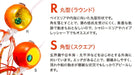 Shimano Tairaba Engetsu Sea Bream Head 120G Chart Gold Metal Jig-Kiichin - The #1 Place for Japanese Goods in Your Hand!