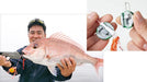 Shimano Tairabassett Engetsu R 005 Chart Gold 80G Sea Bream Jig-Kiichin - The #1 Place for Japanese Goods in Your Hand!