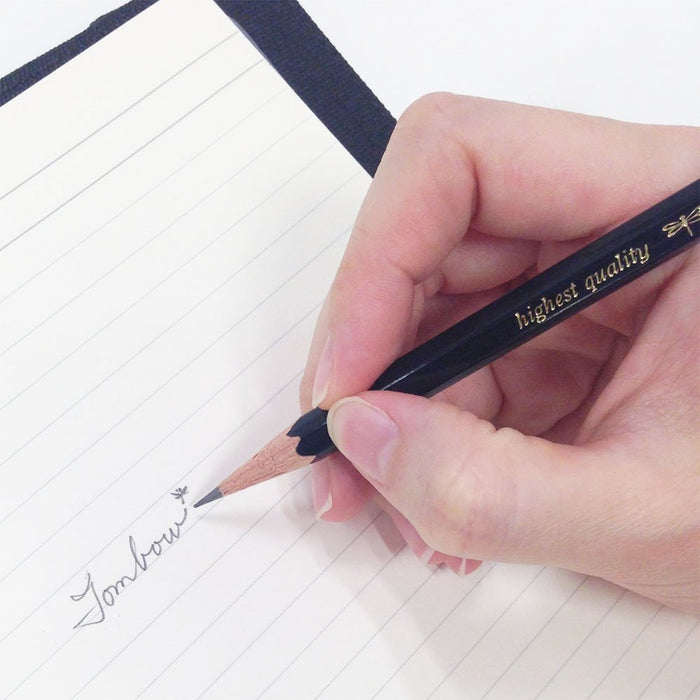 Tombo Tombow Pencil Mono Rs H 1 Dozen Pack in Paper Box-Kiichin - The #1 Place for Japanese Goods in Your Hand!