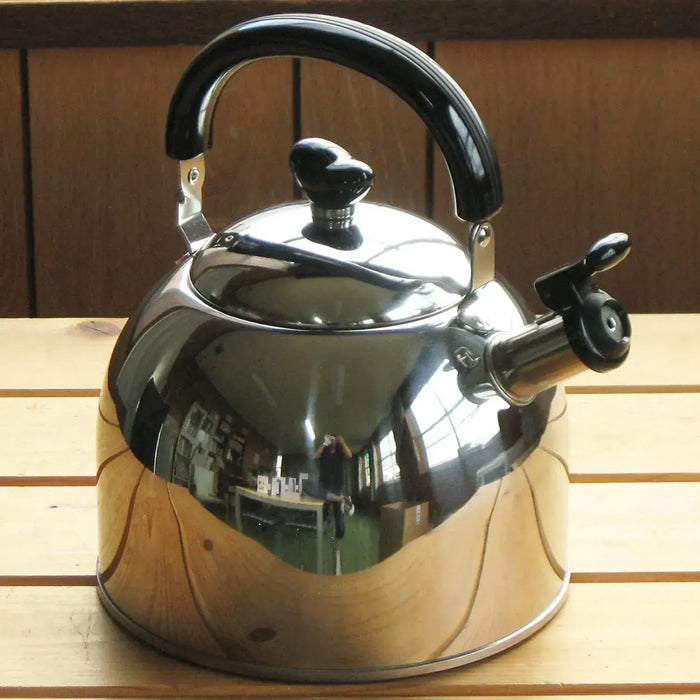 Nagao Tsubame Sanjo Stainless Steel Induction Compatible Kettle