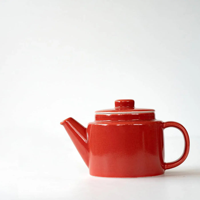 Saikai Pottery Hasami Ware Teapot with Stainless Steel Tea Strainer