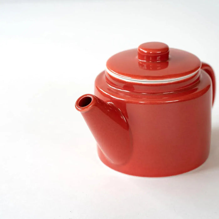 Saikai Pottery Hasami Ware Teapot with Stainless Steel Tea Strainer