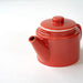 Saikai Pottery Hasami Ware Teapot with Stainless Steel Tea Strainer