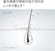 Takagi Ultra Fine Bubble Water Purification Shower Head Chlorine Removal