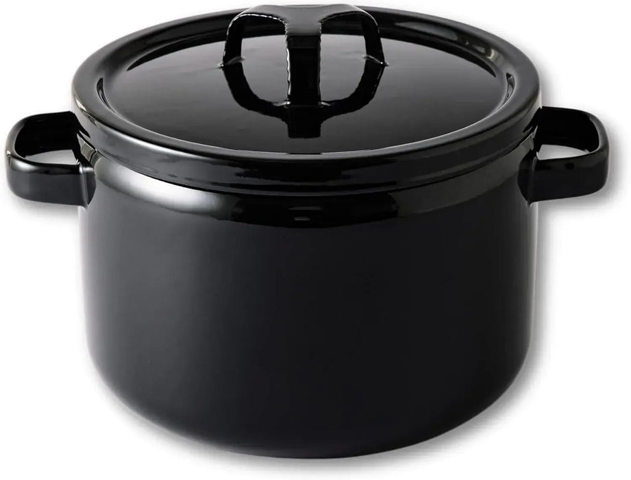Takumi Japan Double-Handled Enameled Cast Iron Pot IH Compatible - Iron Black 22cm Deep - 4977618116415