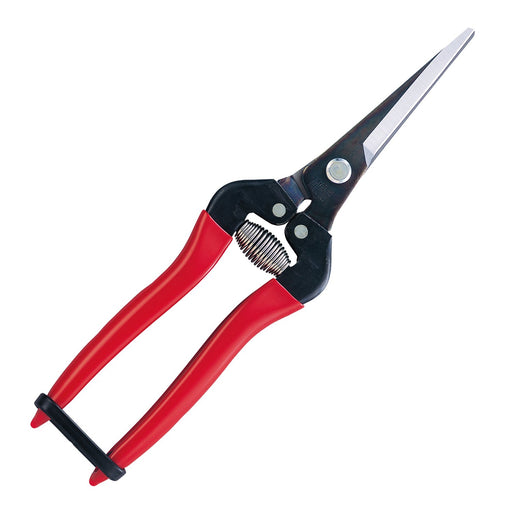 Ars Corporation Fruit Thinning Shears 300Ll-Bp Extra Long Blister Pack-Kiichin - The #1 Place for Japanese Goods in Your Hand!