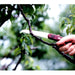 Ars Corporation Hanakomachi Ik-10-R (Red)-Kiichin - The #1 Place for Japanese Goods in Your Hand!