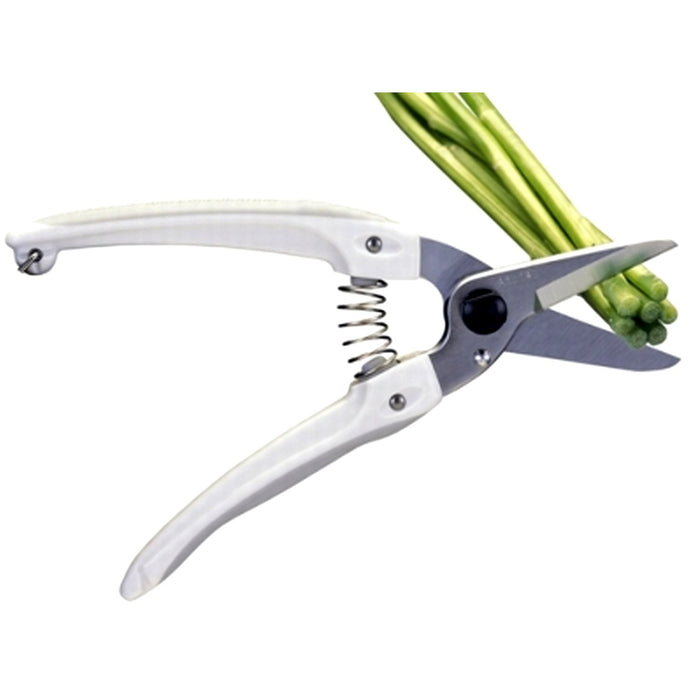 Ars Corp Deluxe White 140Dx-Kiichin - The #1 Place for Japanese Goods in Your Hand!