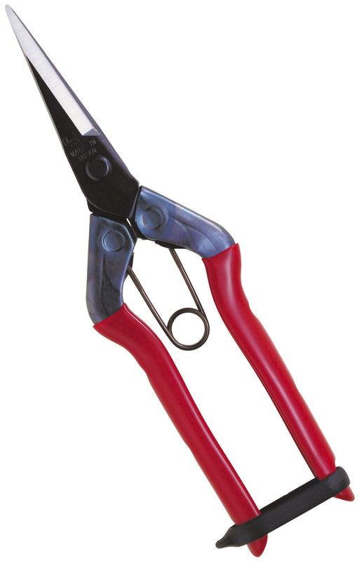 Chikamasa T-550 Bud Cutting Scissors-Kiichin - The #1 Place for Japanese Goods in Your Hand!
