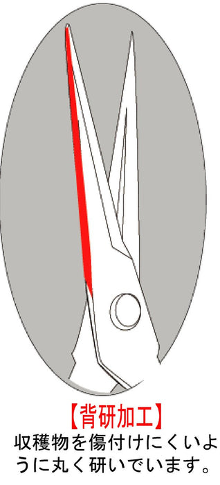 Chikamasa T-550 Bud Cutting Scissors-Kiichin - The #1 Place for Japanese Goods in Your Hand!