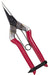Chikamasa T-501 Fruit Thinning Shears-Kiichin - The #1 Place for Japanese Goods in Your Hand!