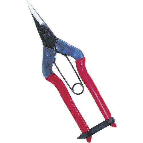 Chikamasa T-500 Fruit Thinning Shears-Kiichin - The #1 Place for Japanese Goods in Your Hand!