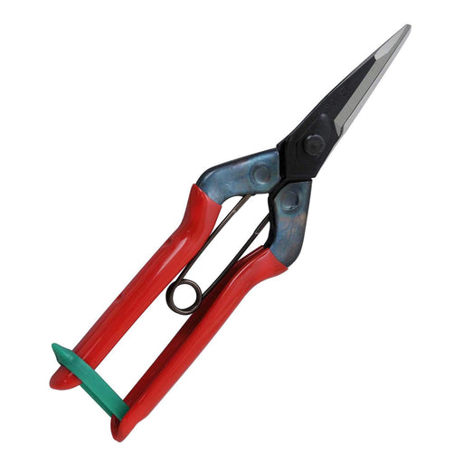 Chikamasa T-601K Large Fruit Thinning Shears 195mm-Kiichin - The #1 Place for Japanese Goods in Your Hand!