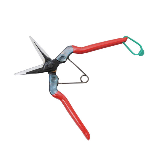 Chikamasa T-601K Large Fruit Thinning Shears 195mm-Kiichin - The #1 Place for Japanese Goods in Your Hand!
