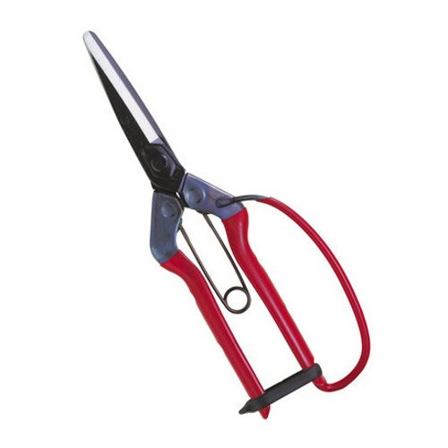 Chikamasa T-700G Produce Scissors With Guard-Kiichin - The #1 Place for Japanese Goods in Your Hand!