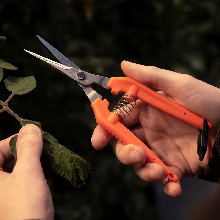 Chikamasa TP-530S Ultralight Stainless Steel-Kiichin - The #1 Place for Japanese Goods in Your Hand!