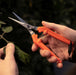 Chikamasa TP-530S Ultralight Stainless Steel-Kiichin - The #1 Place for Japanese Goods in Your Hand!