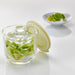 Hario Glass Overnight Pickle Container GTK-S-OW-Kiichin - The #1 Place for Japanese Goods in Your Hand!