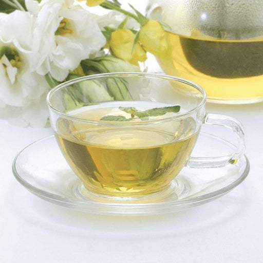 Premium Hario Glass Teacup & Saucer Set - 230ml Capacity-Kiichin - The #1 Place for Japanese Goods in Your Hand!