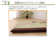 Ikehiko Rush Mat - Traditional Japanese Sleeping Mat for Grandma's Place - Free Mat-Kiichin - The #1 Place for Japanese Goods in Your Hand!