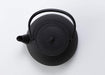 Iwachu Iron Kettle 0.65L Dual Use Teapot 5 Type Arale 12822-Kiichin - The #1 Place for Japanese Goods in Your Hand!