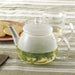 Iwaki Glass Teapot - Durable and Heat Resistant for Optimal Brewing-Kiichin - The #1 Place for Japanese Goods in Your Hand!