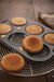 Kai Corp Madeleine Mold 6pcs DL6172-Kiichin - The #1 Place for Japanese Goods in Your Hand!
