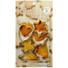Kai Corp Cookie Cutters Set of 6 DL6193 Japan-Kiichin - The #1 Place for Japanese Goods in Your Hand!