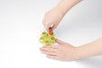 Kai Wiener Cutter Basic Chuboos Lunch Box FG5194 Made in Japan-Kiichin - The #1 Place for Japanese Goods in Your Hand!