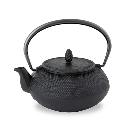 Nambu Ironware Teapot - 0.6L Black Enameled Tea Pot with Strainer-Kiichin - The #1 Place for Japanese Goods in Your Hand!