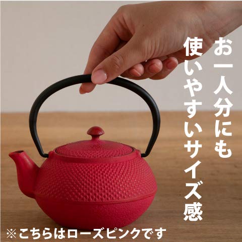 Ren Of Japan Nanbu Tekki Iron Bottle Teapot Arale Round Shape with Tea Strainer Enamel Finish Arare Small-Kiichin - The #1 Place for Japanese Goods in Your Hand!