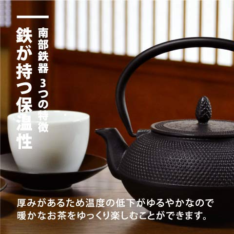 Ren Of Japan Nanbu Tekki Iron Bottle Teapot Arale Round Shape with Tea Strainer Enamel Finish Arare Small-Kiichin - The #1 Place for Japanese Goods in Your Hand!