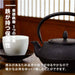 Ren Of Japan Nanbu Tekki Iron Bottle Teapot Arale Round Shape with Tea Strainer Enamel Finish Arare Small-Kiichin - The #1 Place for Japanese Goods in Your Hand!