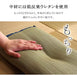 Ikehiko Corp Japan Rush Memory Foam Pillow - Men's Comfort in Compact Size-Kiichin - The #1 Place for Japanese Goods in Your Hand!